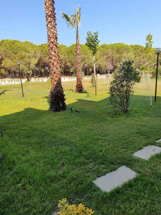 Amber Albania 4*